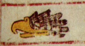 Cuauhtli, códice Borgia