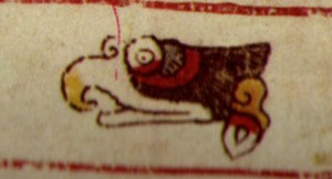 Cuscacuauhtli, códice Borgia