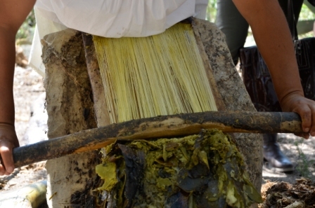 large_ca96fe5a0870016005ce41ba9bba5df7