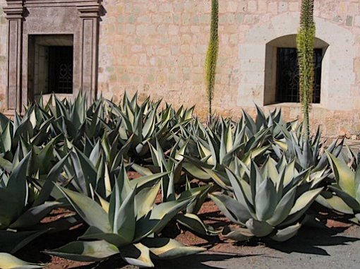 large_d86dcf669cfa8efc84f298e7d3a78d33