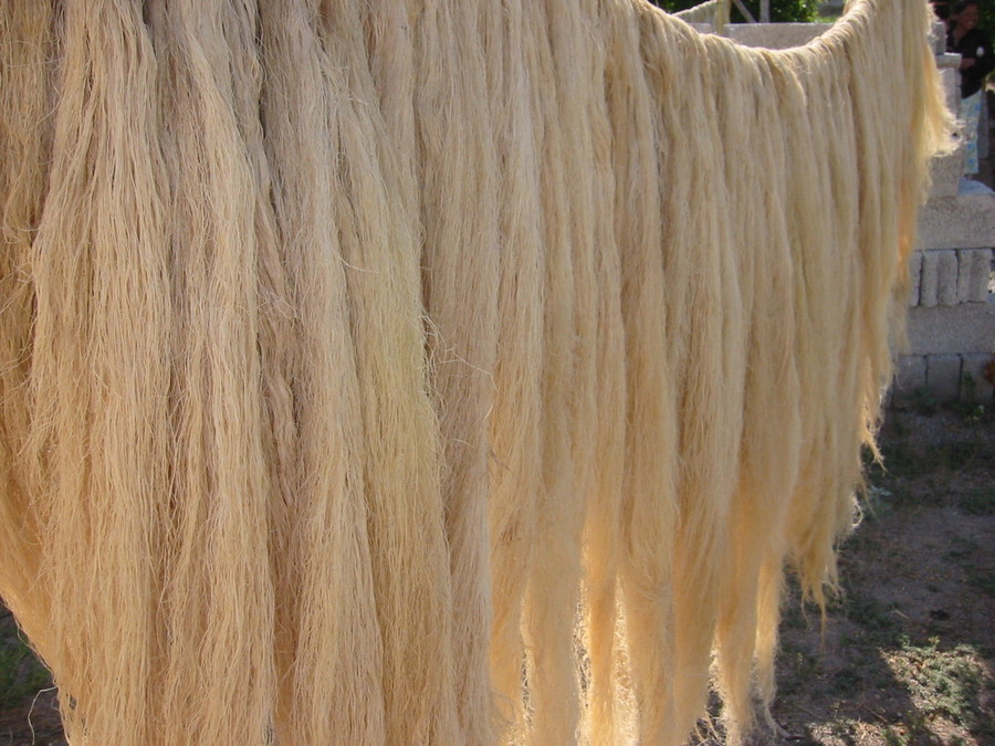 large_fe7f1bdcc8d4e5e9a8b63b7cbe82aae1