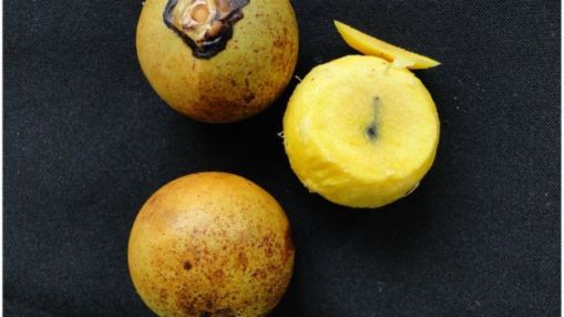 _95893117_3a7b5ac1-3fab-4b83-9e87-37edf01688ae