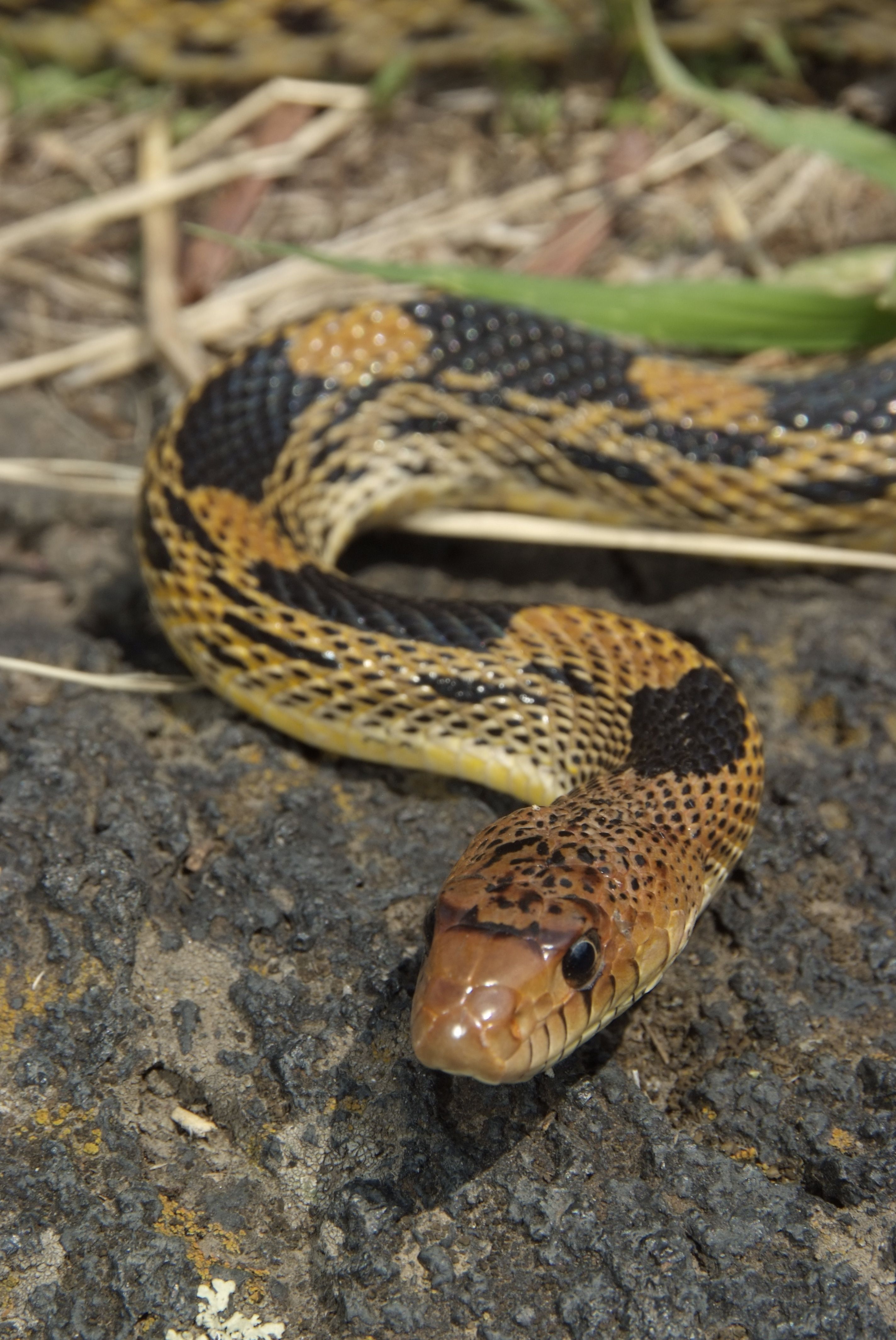 81b565127df99790703617001d67bf76