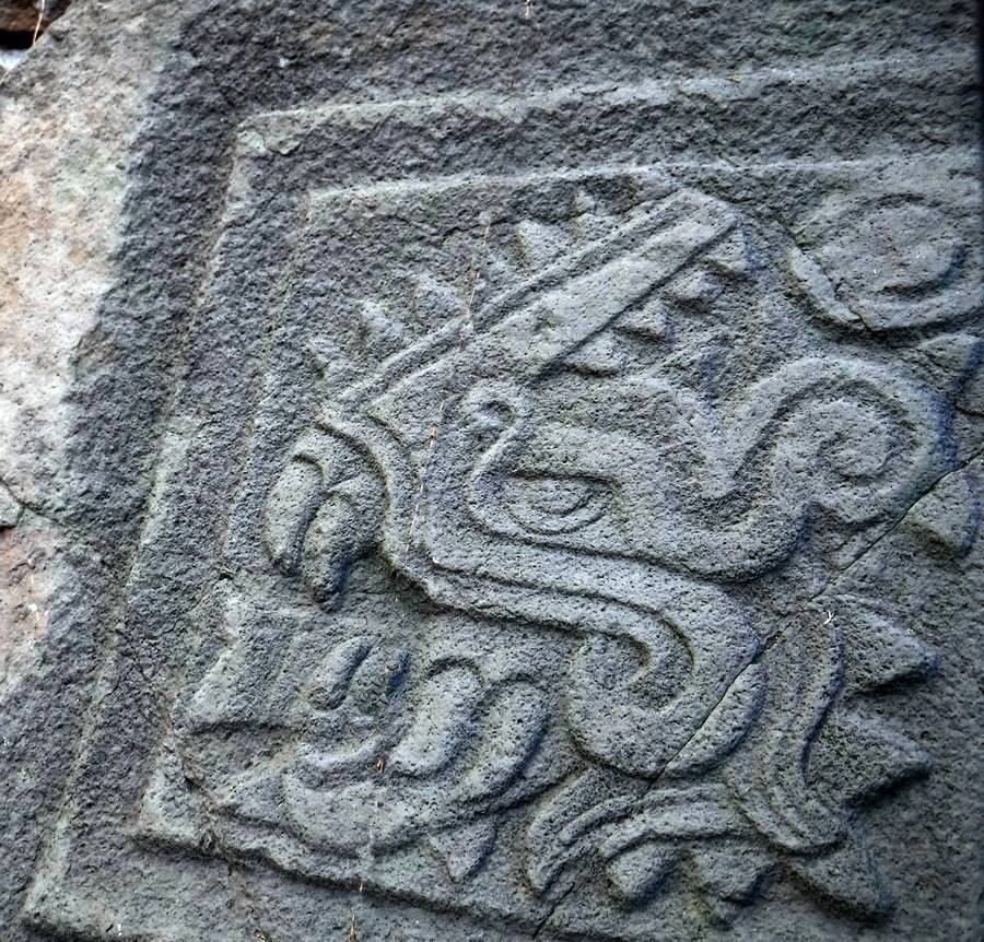 fecha-Uno-Lagarto-en-los-petrograbados-de-Cuahilama-Xochimilco